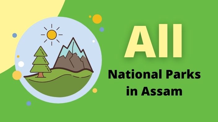 7 National Parks in Assam You Can Visit (With Photo)