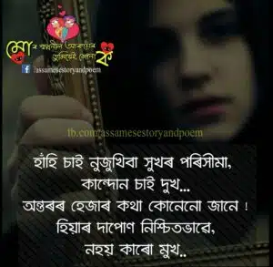 assamese love quotes video download