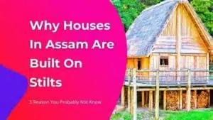 5 Reason You Probably Not Know about the houses of assam