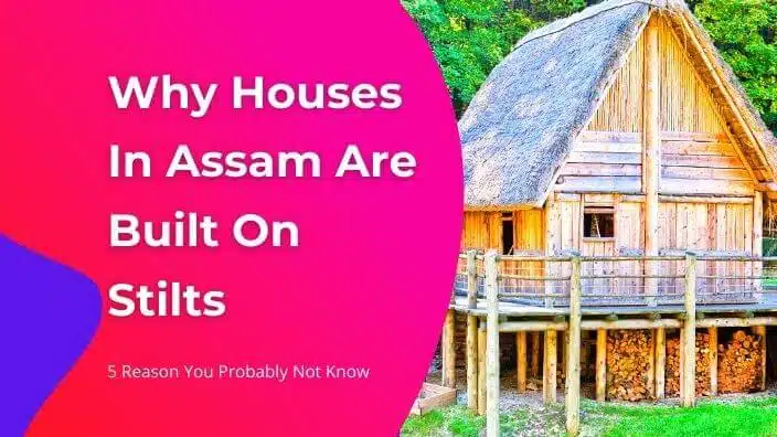 Why Houses In Assam Are Built On Stilts: 5 Reason You Probably Not Know